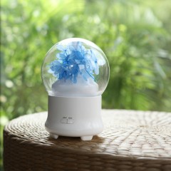 永生花加湿香薰机定制